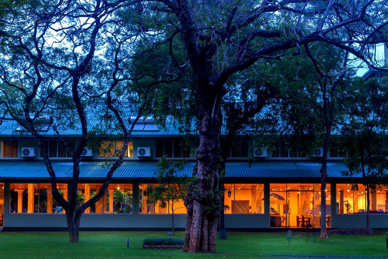 Hotel Sudu Araliya Polonnaruwa Εξωτερικό φωτογραφία